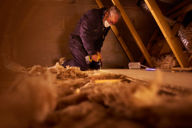 Best Cellulose Insulation in Broadmoor, CA