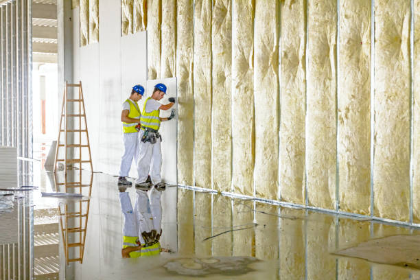 Types of Insulation We Offer in Broadmoor, CA